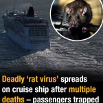 Deadly ‘rat virus’ spreads on cruise ship after multiple deaths – passengers trapped on board