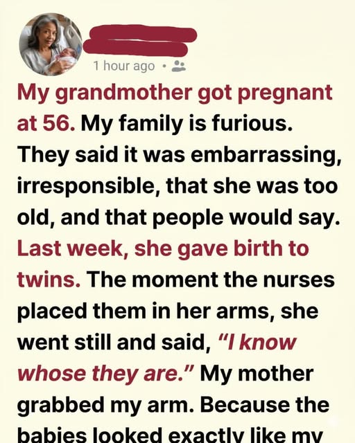 MY 56-YEAR-OLD GRANDMOTHER ANNOUNCED SHE WAS PREGNANT — AND MY FAMILY TREATED IT LIKE A DISASTER UNTIL THE DAY THE