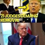 Public Reacts as Judges Break Silence in Political Warning