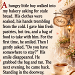 Hungry Little Boy Came Into My Bakery Asking for Stale Rolls – I Had No Idea How Much That Moment Would Change Both of Our Lives