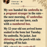 My Son Gave His Late Father’s Umbrella to a Crying Pregnant Stranger—The Next Morning 47 Appeared