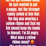 This Is What a Yellow Ribbon on a Dog Collar Means