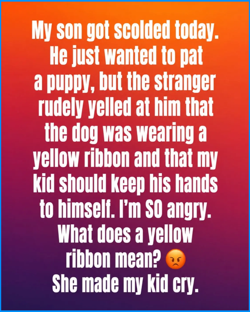 This Is What a Yellow Ribbon on a Dog Collar Means