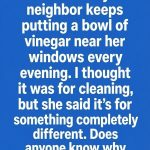 Why People Place Bowls Of Vinegar Near Windows During Warm Summer Months