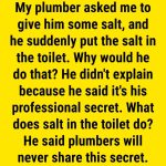 Why Putting Salt In Your Toilet Is A Little-Known Tip From Plumbers