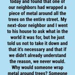 The Hidden Purpose: Why People Wrap Metal Bands Around Tree Trunks