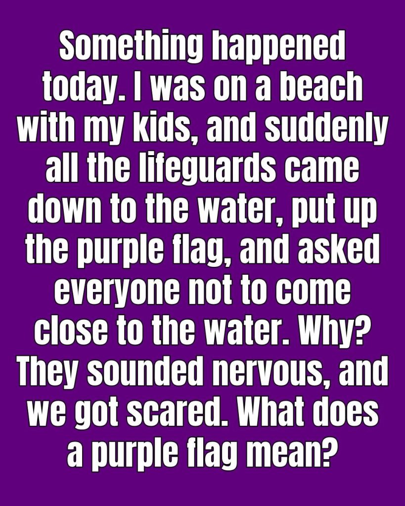 The Meaning of a Purple Flag at the Beach