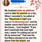 My husband stole my platinum card to take his parents on a trip. When I canceled it, he yelled at me: “Reactivate it right now now or I’m divorcing you!”, and his mother swore she’d kick me out of the house …