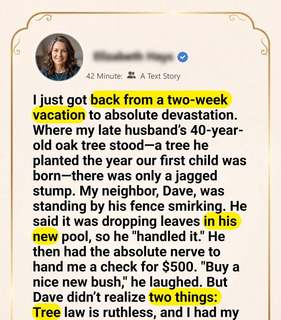 My daughter brought her new fiancé home… and when he saw my husband’s…