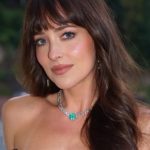 Dakota Johnson’s Inappropriate Outfits Had Everyone Staring