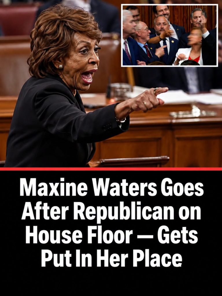 Maxine Waters Shouted Down In House After Verbally Attacking Jim Jordan