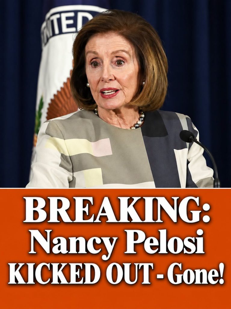 Fmr Capitol Police Chief Gives Pelosi a ‘Reminder’ About J6 After She Blamed Trump